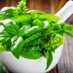 A bazsalikom rendkívül sokoldalú gyógynövény