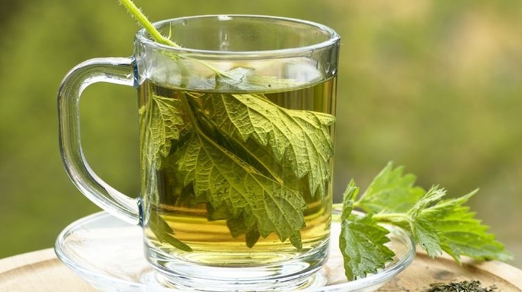 A csalán az idegi eredetű fájdalmak, például arhtritisz csillapításában is hatékony lehet