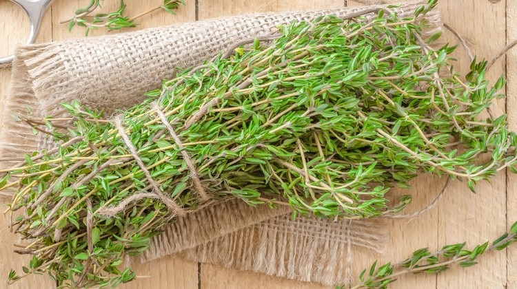 A kakukkfű több mint egyszerű fűszernövény