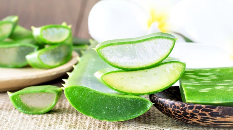 Az aloe vera gélállománya igazi kincs