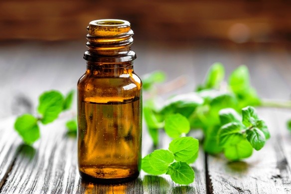 A borsmenta-olaj émelygésre is remek gyógyír
