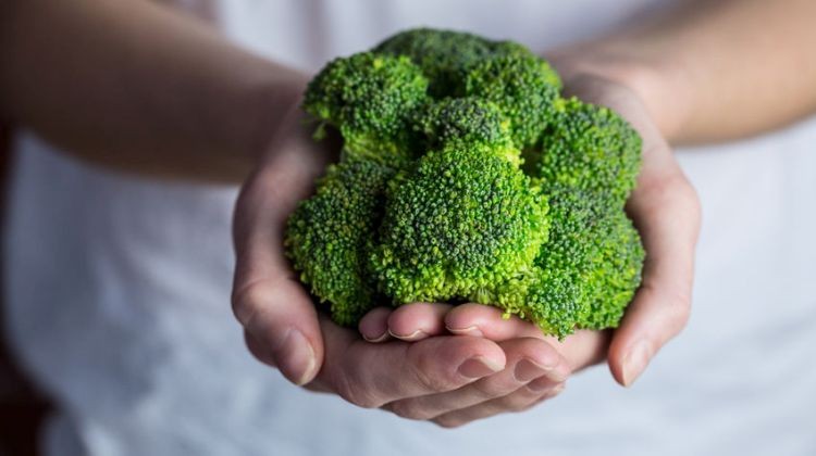 A brokkoli hatékonyan tisztítja az ereket