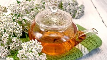 A cickafark külsőleg, belsőleg, illóolajként, fürdőként is rengeteg jótékony hatással bír