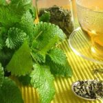 A citromfű teája nyugtat, altat, segíti az emésztést