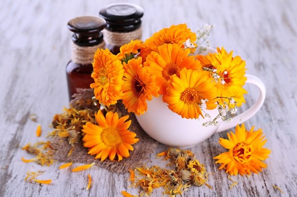 A körömvirágnak sokféle hatást tulajdonítanak