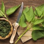 A csalánt rengeteg módon felhasználhatjuk