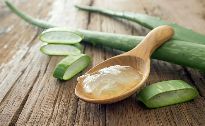 Az aloe vera külsőleg és belsőleg is nagyszerű hatású